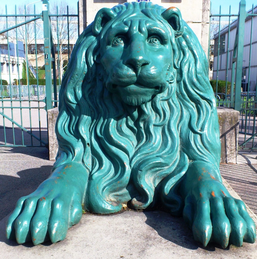 OnlyLion