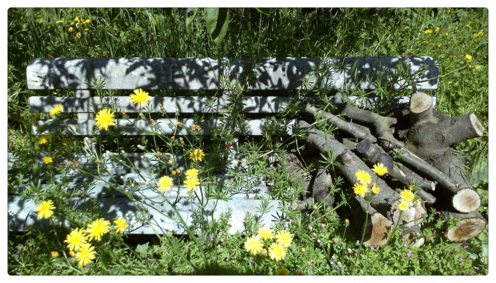 1 Picture 1 Word Abandoned Bench