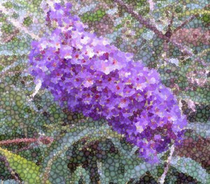 1 Picture 1 Word Lilas Mosaic