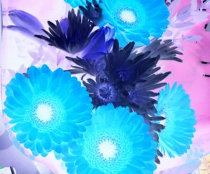 Blue Flowers