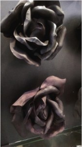 1 Picture 1 Word Black Rose