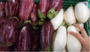 1 Picture 1 Word Catch Vegetables