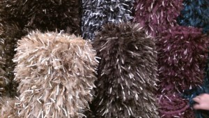 1 Picture 1 Word Muppet Pompom