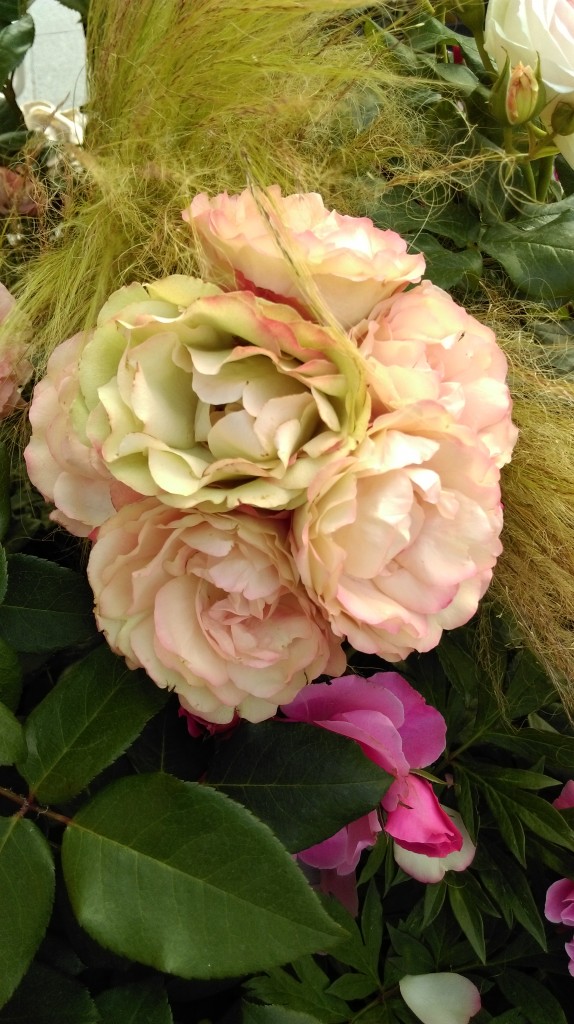 1 Picture 1 Word Rose Story (8)