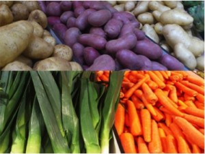 1 Picture 1 Word Winter Vegetables