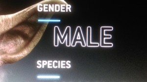 1 picture 1 word Male Gender