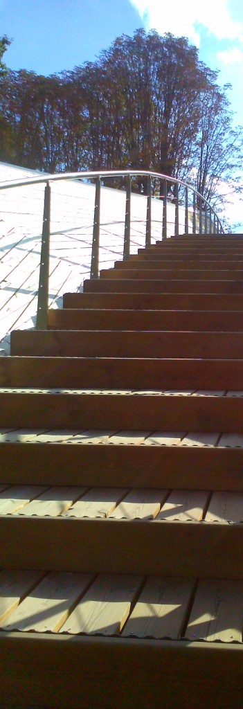 1 picture 1 word climb Staircase