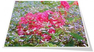 3D Effect 1