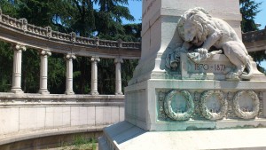 Lion Fight