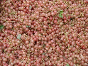 Currants Benefits