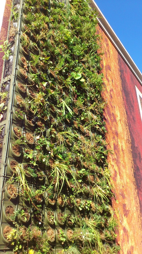 Vegetal Wall