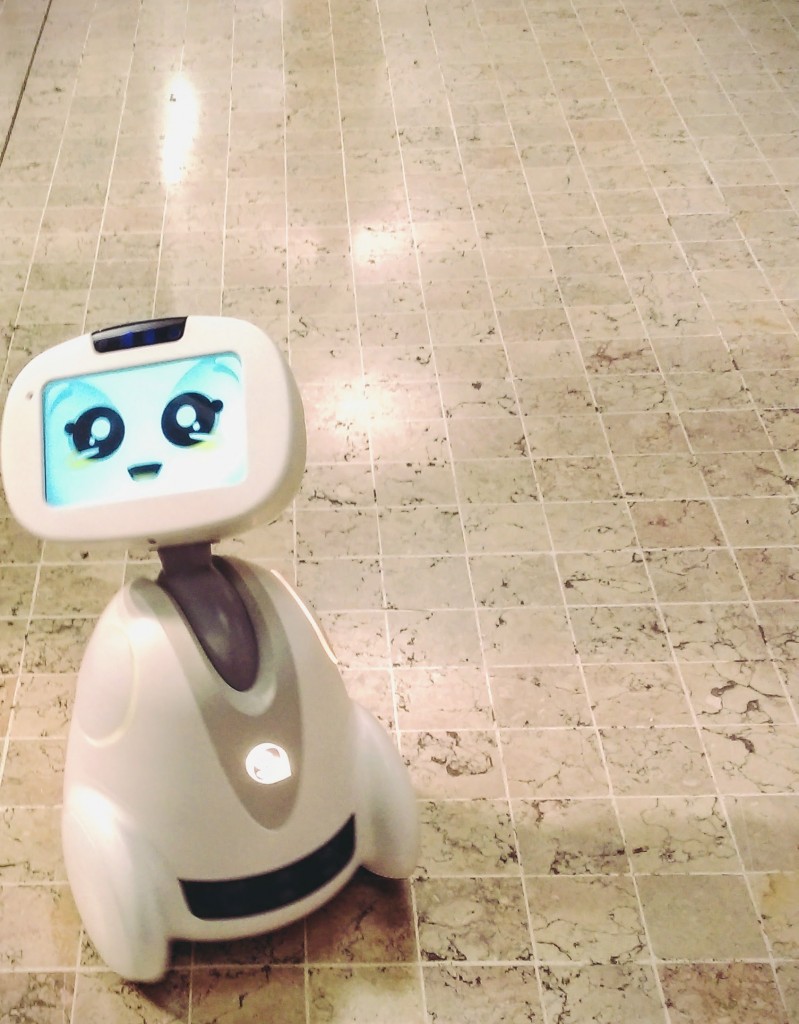 Buddy Robot Companion