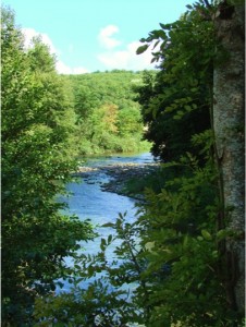 River Dream
