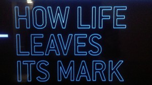 How Life leaves its Mark