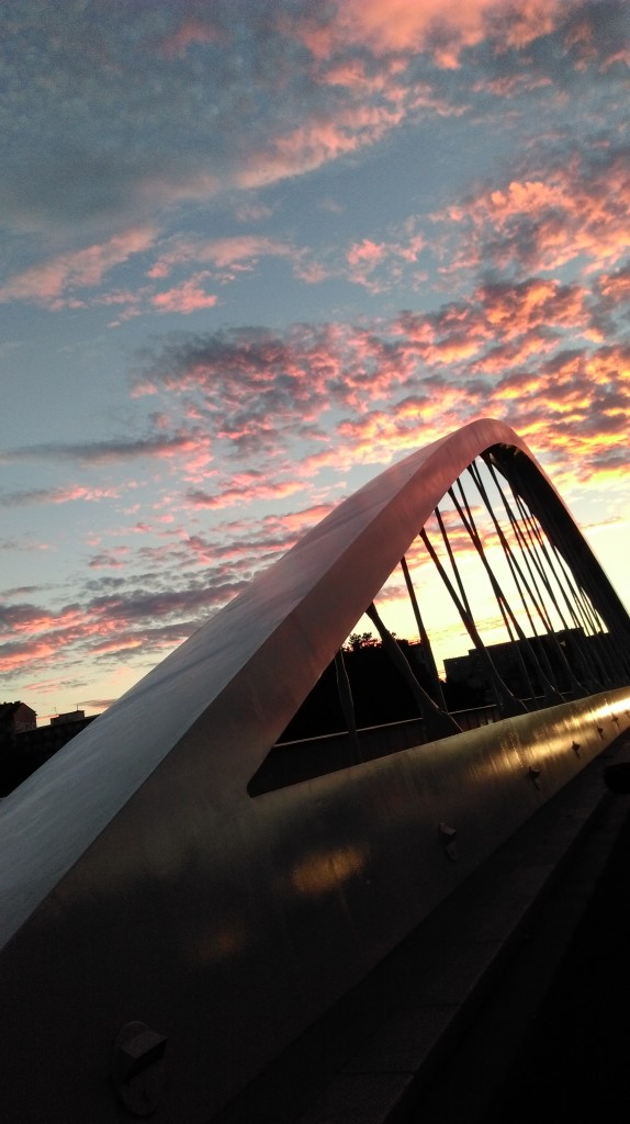 Bridge Lover