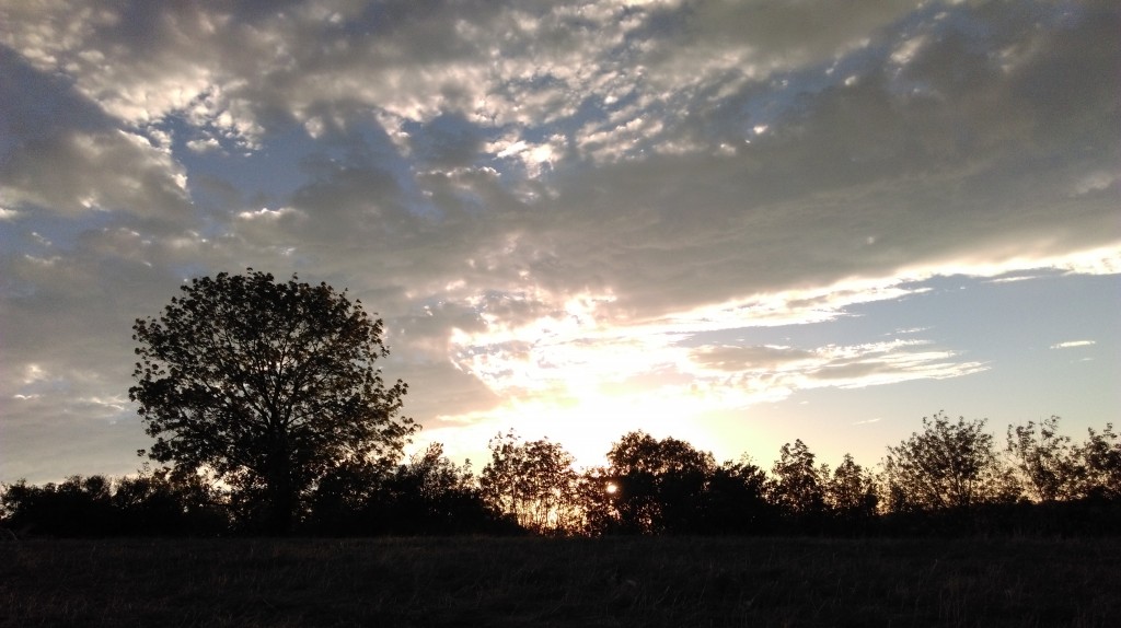 Sunset Running 1