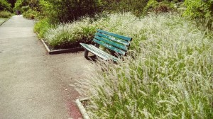 Friendship Bench