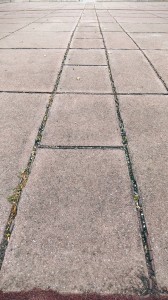 Path