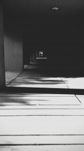 Shadow Corridor