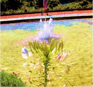 Water Show