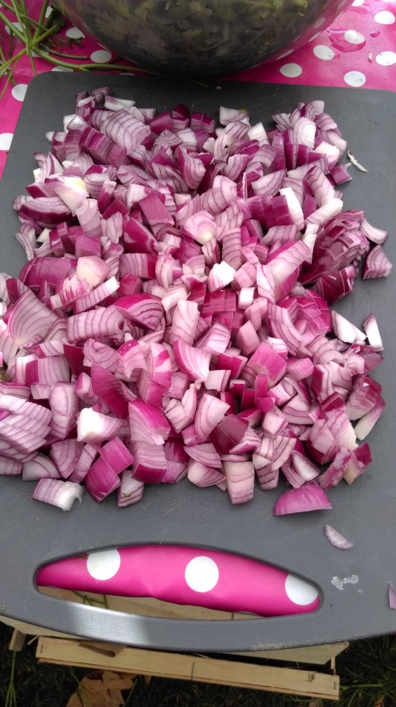 Red Onion