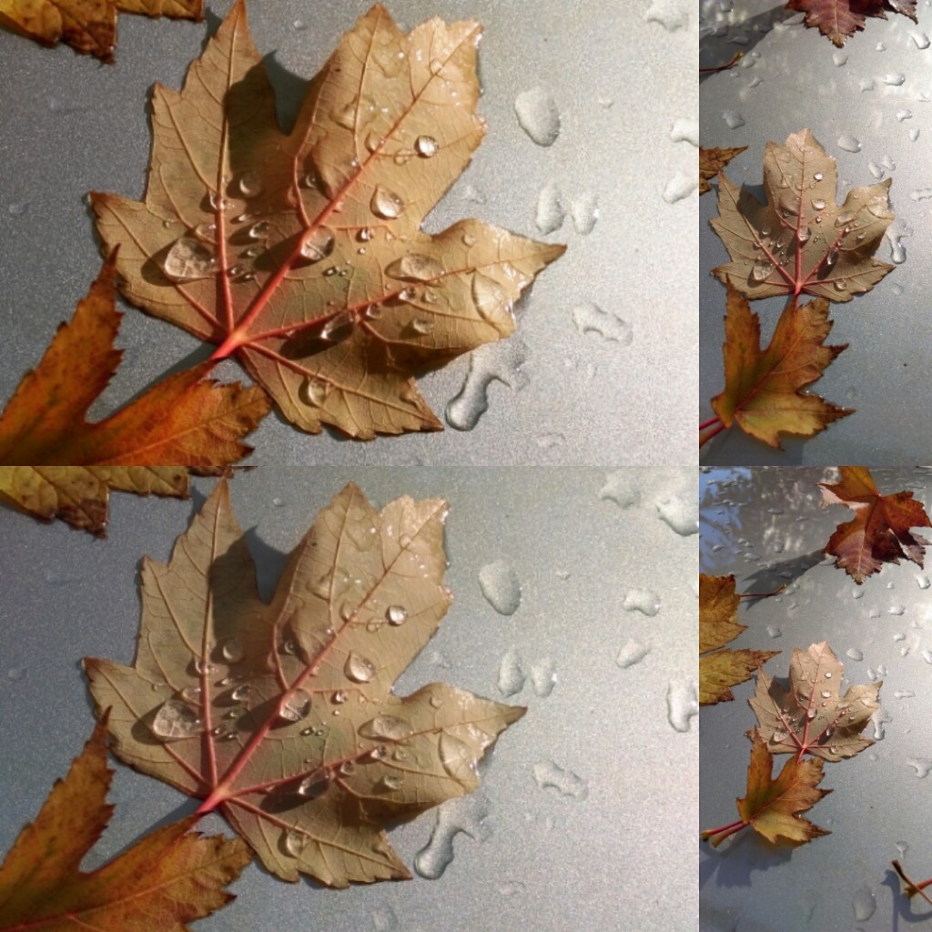 Autumn Leaves
