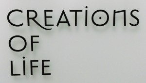 Creations