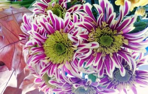 Flowers Fireworks