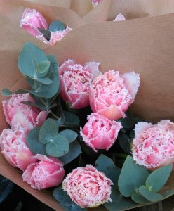 Chic RosesChic Roses