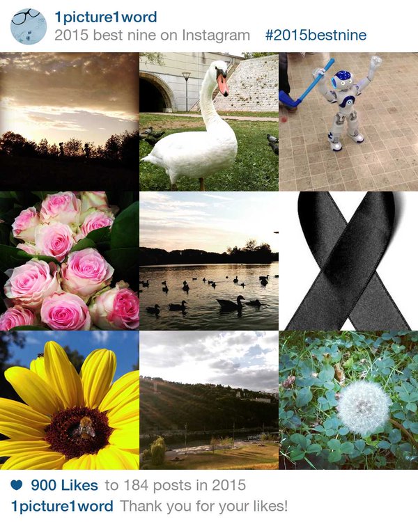 Nine Best 2015