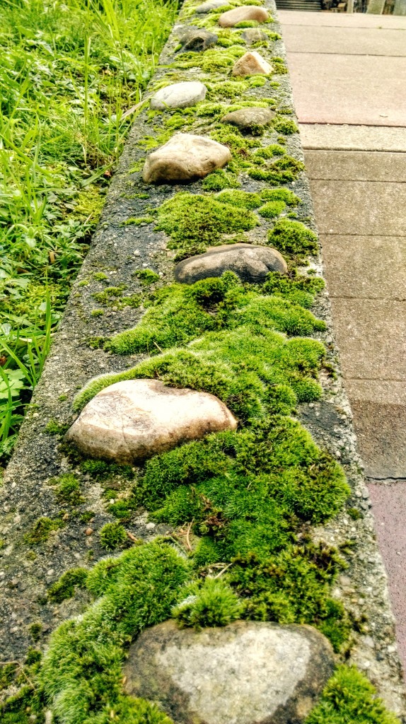 Stepping Stones