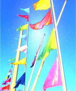 Wind feeling