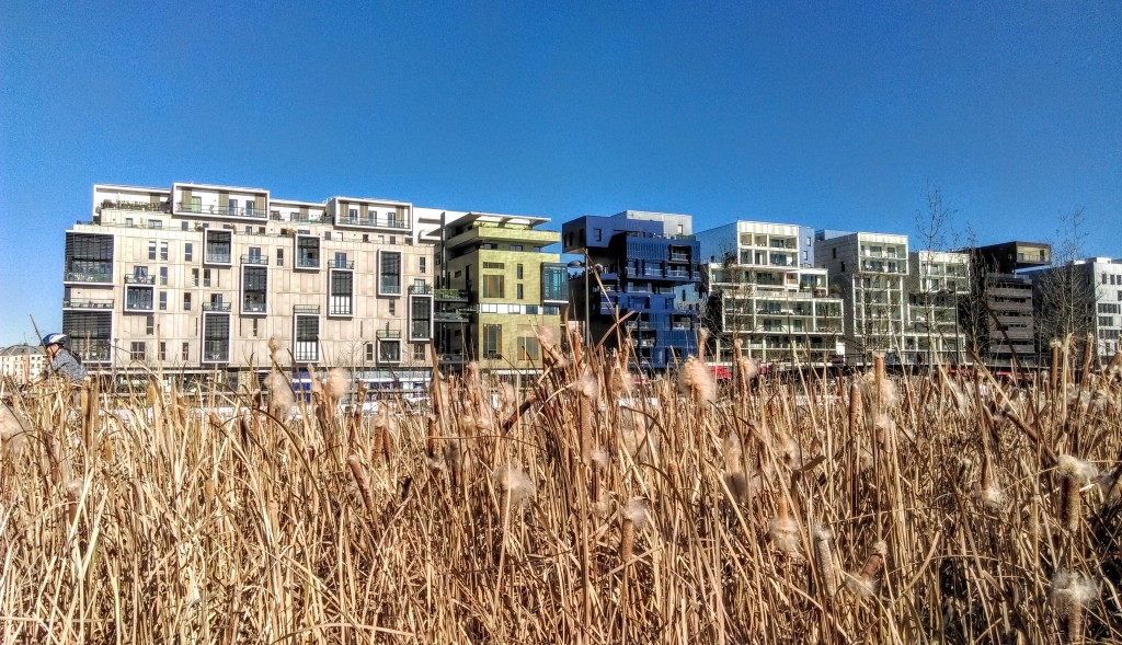 Urban Jungle