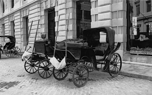 Horse-drawn Buggy