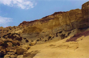 Like a Rock