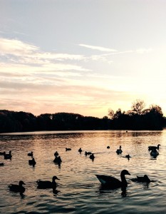 Sunset