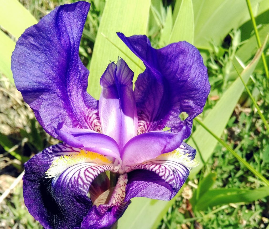 Color of Nature
