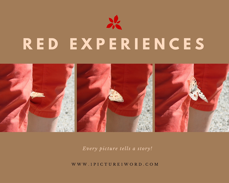Red Experiences