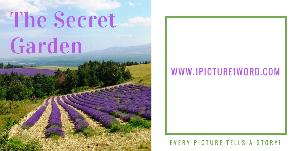 The secret garden