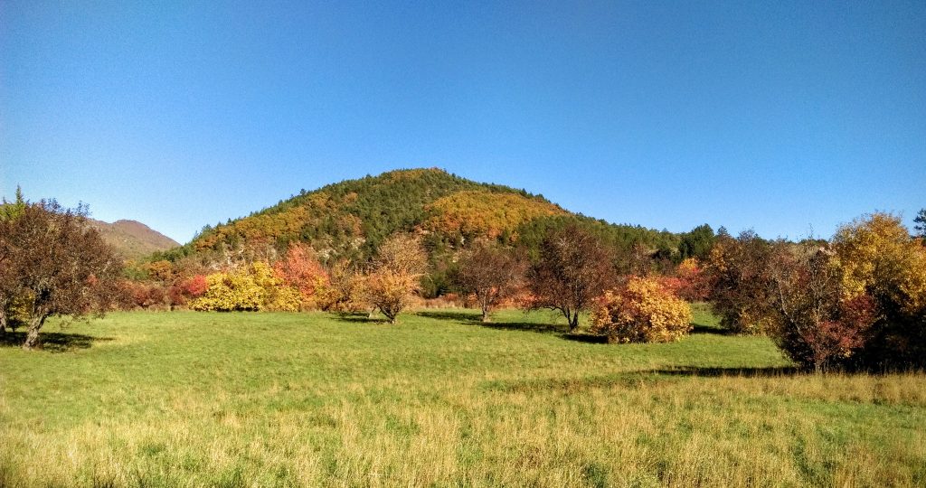 Lovely Autumn